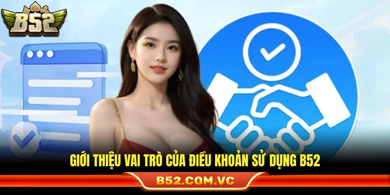 Sơ lược tầm quan trọng của điều khoản sử dụng tại B52